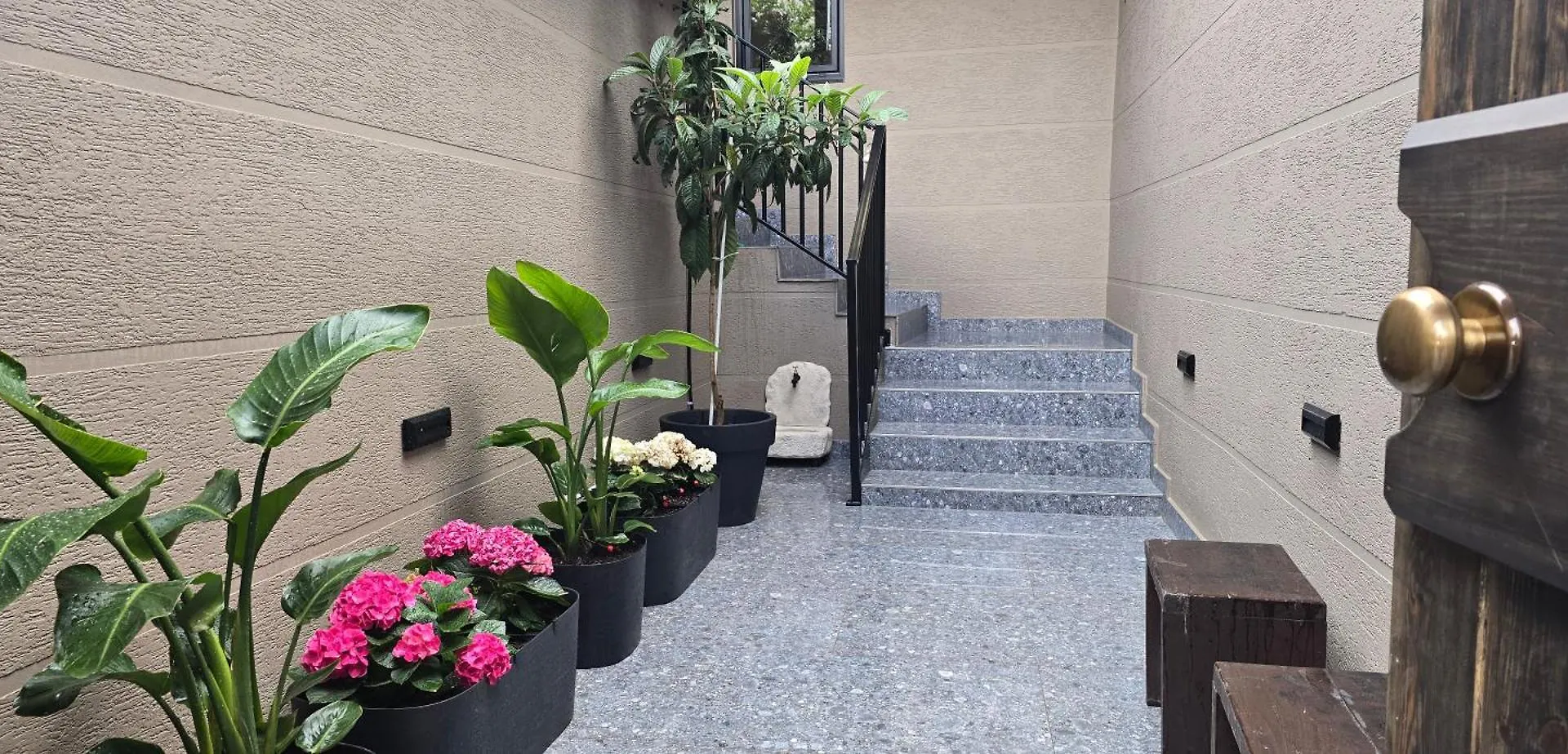 فندق Rooms At Mimosa Street تيرانا